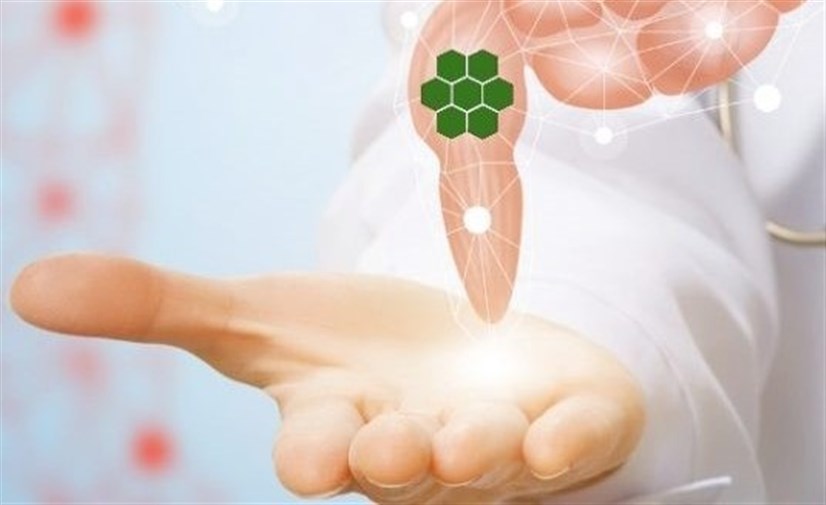 242~Biospaien-image-1.jpeg